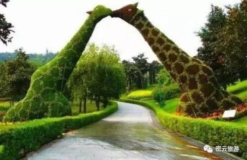 美爆了 密云 玫瑰情園景區紫色花海門票免費送 送 送