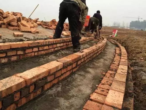 園林綠化施工過(guò)程全記錄