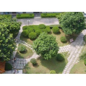 工廠綠化承包公司