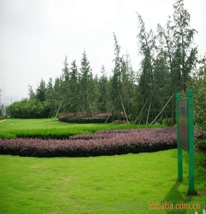 承攬綠化工程、園林施工、園林綠化工程養(yǎng)護