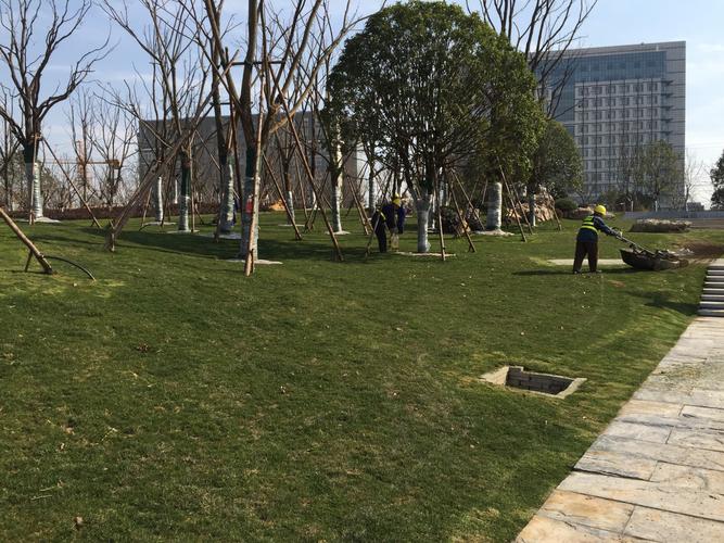 武漢青山江灘二期園林景觀綠化工程 - 美篇