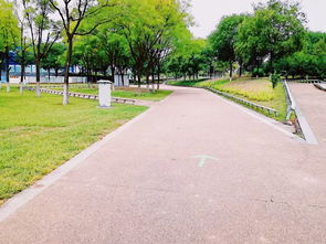 世園園林公司圓滿(mǎn)完成鐵人三項(xiàng)賽綠化保障工作