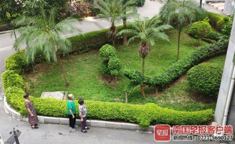 南寧綠化工人五年匠心打造動物世界主題園林，綠色藝術驚艷全城